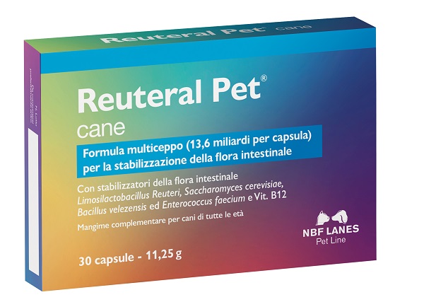 REUTERAL PET CANE 30CPS